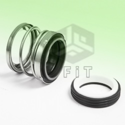 REPLACE AES P02 MECHANICAL SEALS